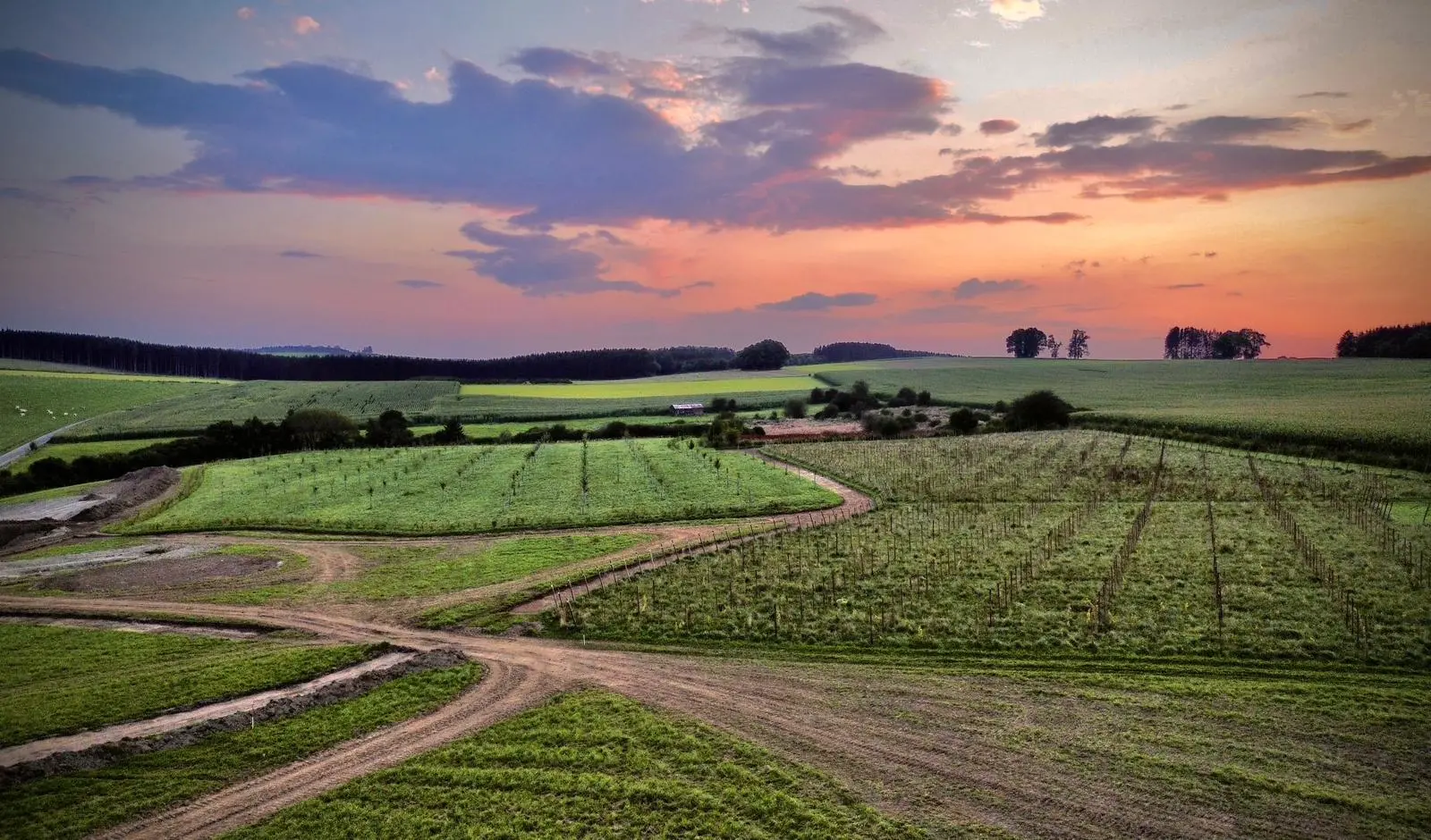 Aménagement agricole et organisation de parcelles pour projet foncier
