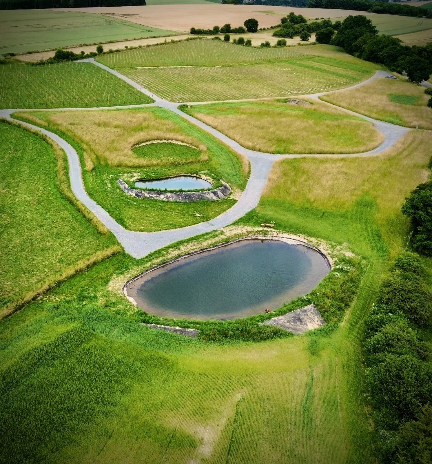 Gestion des eaux et ruissellement avec bassin de rétention et terrassement