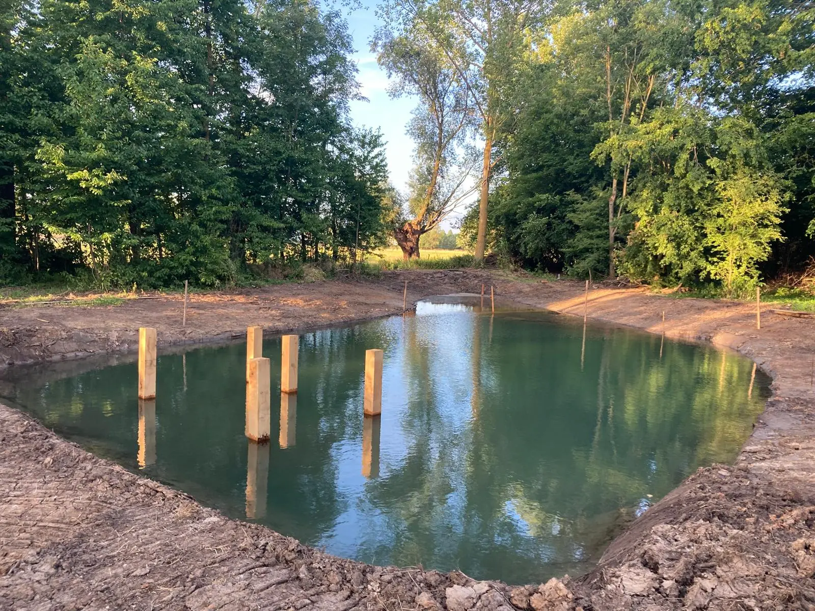 Création d’un étang et aménagement de zone humide sur terrain naturel