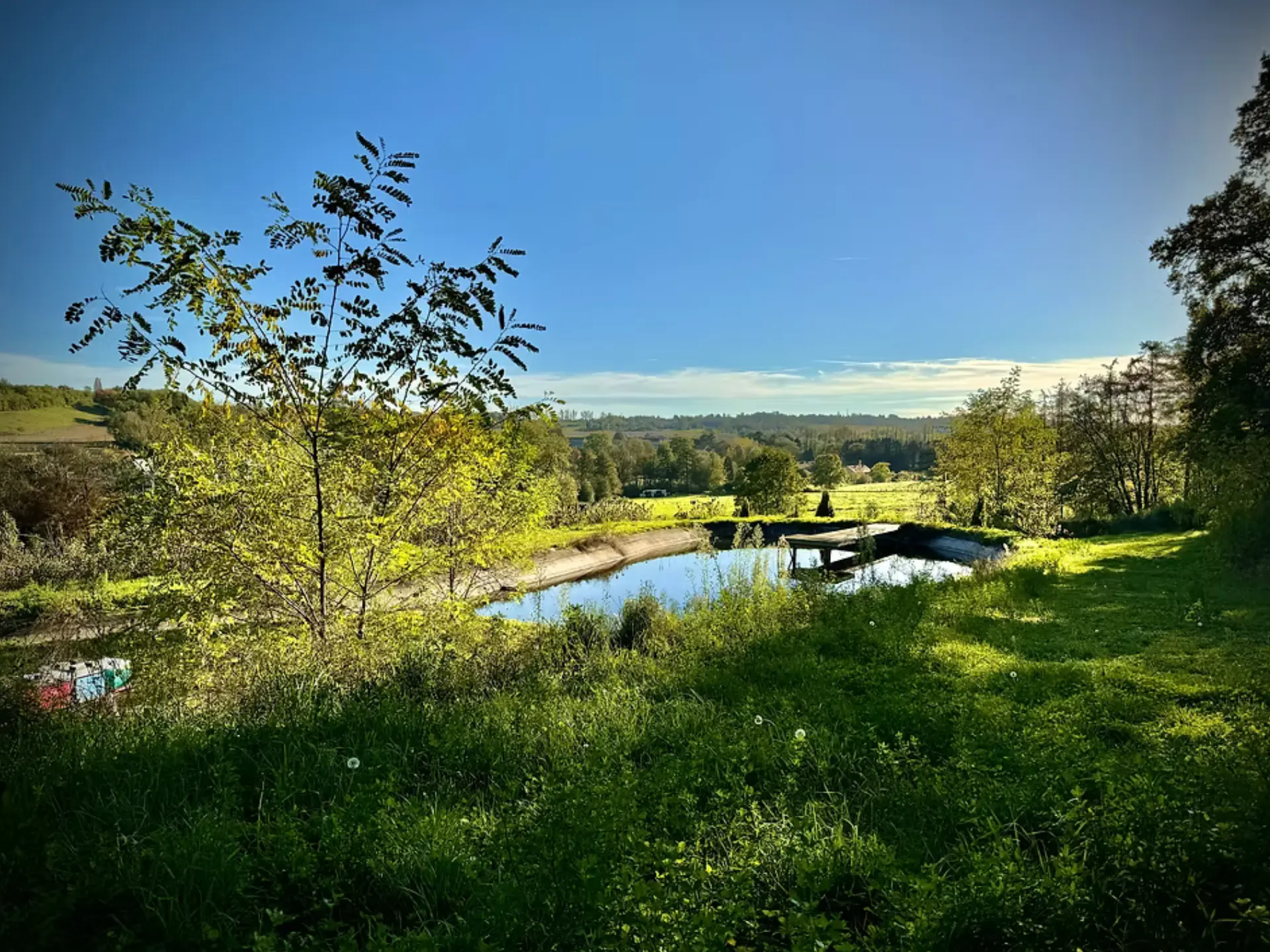 Étang et zone naturelle aménagée dans un projet de gestion de propriété